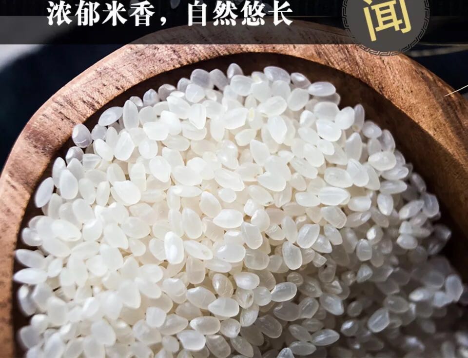 手游问道阴阳镜好不好用