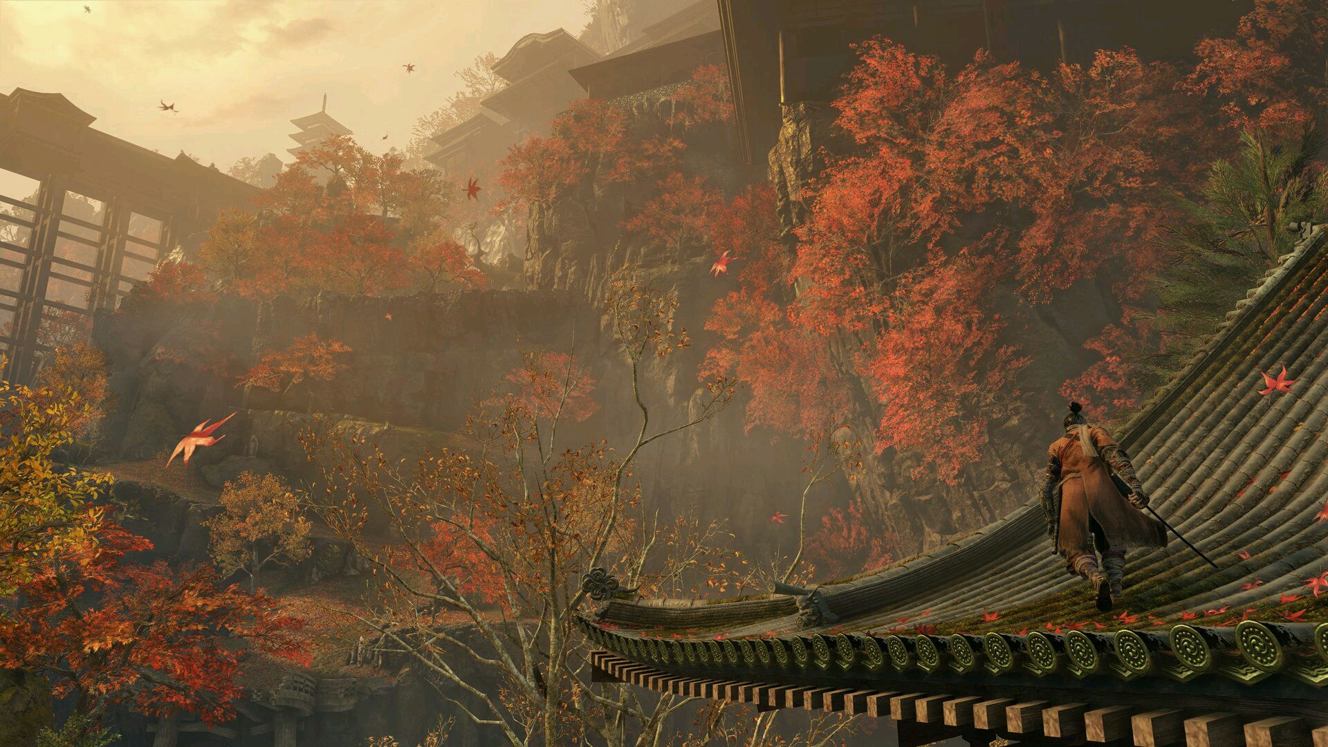 春茶问道