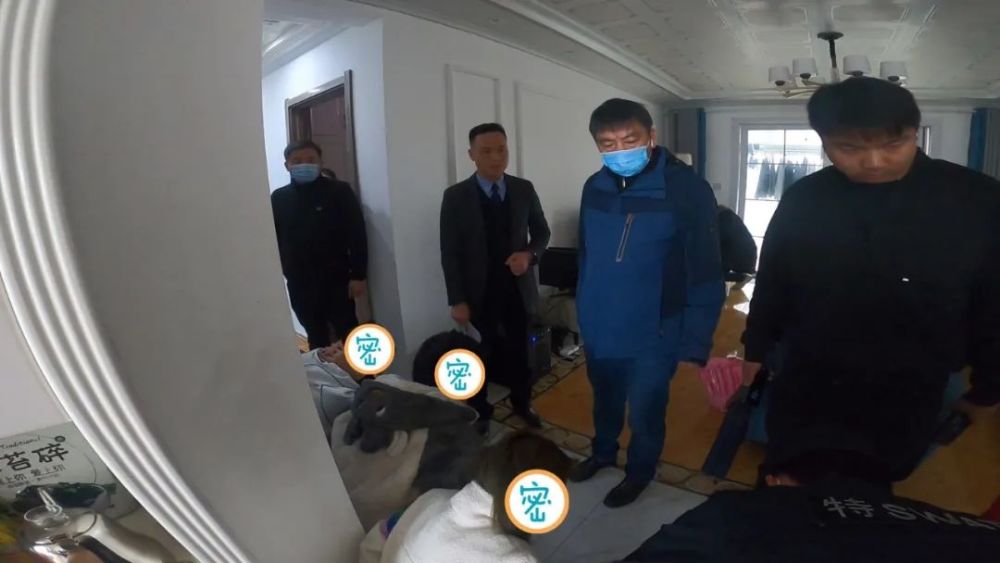问道体木相性有什么用